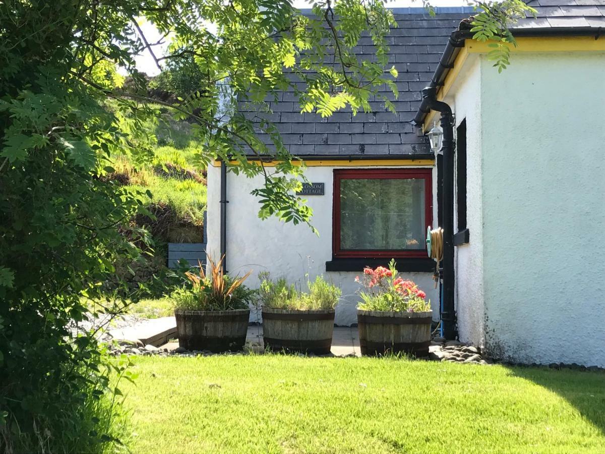Blossom Cottage Lonmore المظهر الخارجي الصورة
